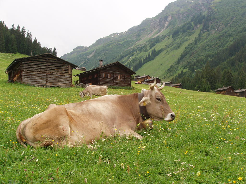 Appart Fernblick Gaschurn Exterior photo